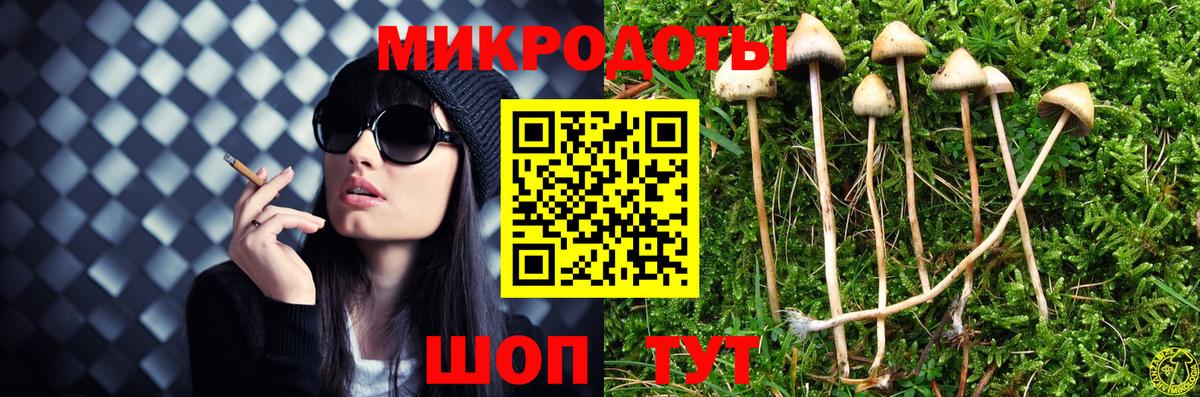 Новочебоксарск  Псилоцибиновые грибы ЛСД  Вход с VPN 